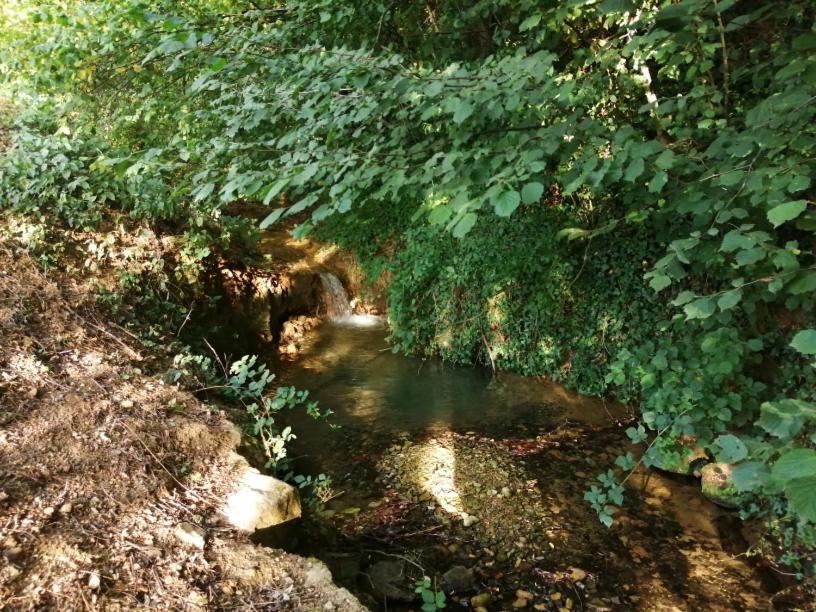 Domaine Moulin de Quincenat Gîte Moulin au Bois Dormant Champagnat  Extérieur photo